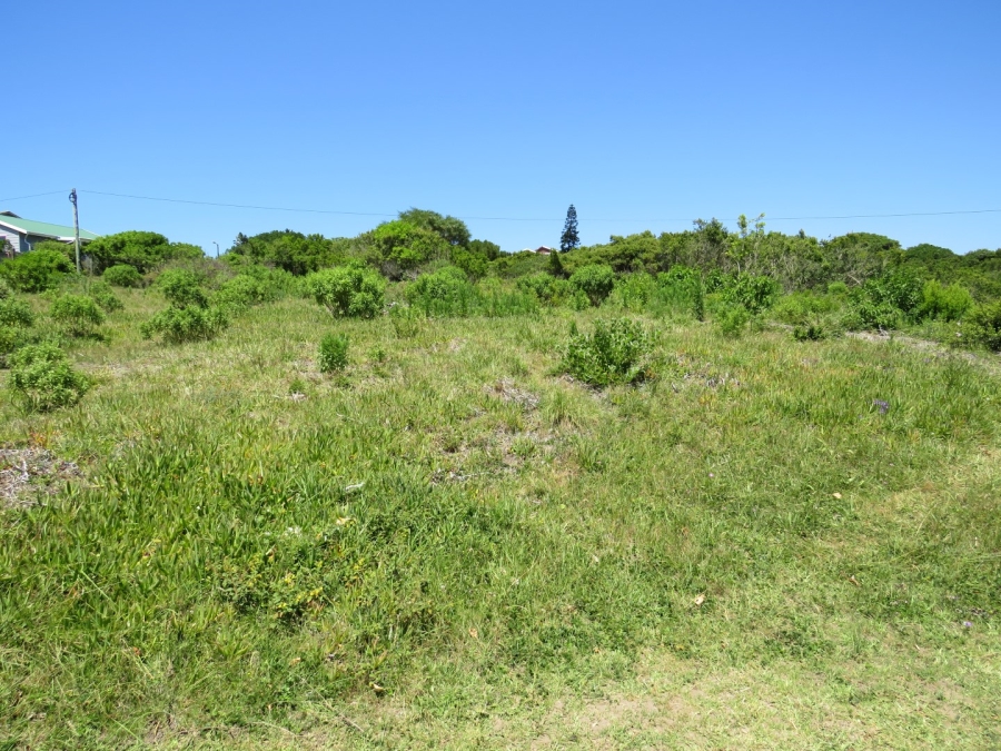 0 Bedroom Property for Sale in Forest Downs Eastern Cape